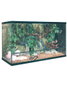 KIT para Terrario Repti Selva Cristal 240 L: Entorno Ideal y Completo para Reptiles - CPA